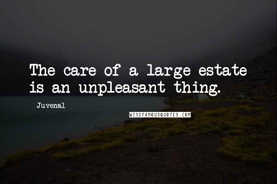 Juvenal Quotes: The care of a large estate is an unpleasant thing.