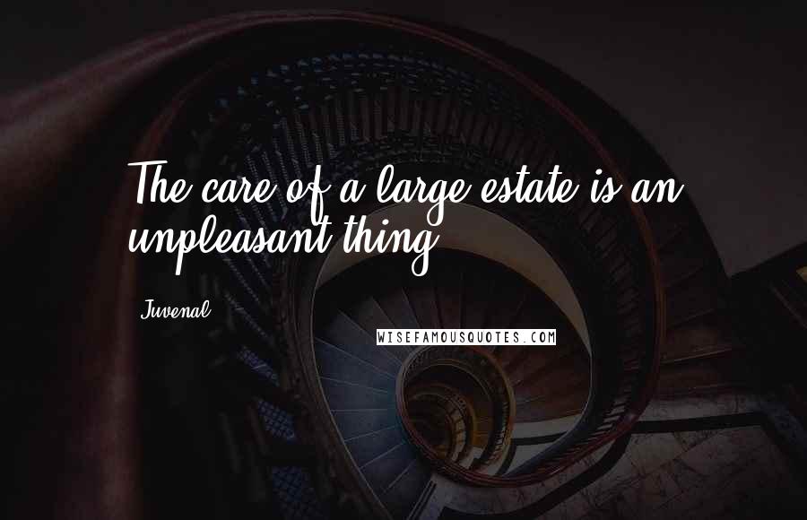 Juvenal Quotes: The care of a large estate is an unpleasant thing.