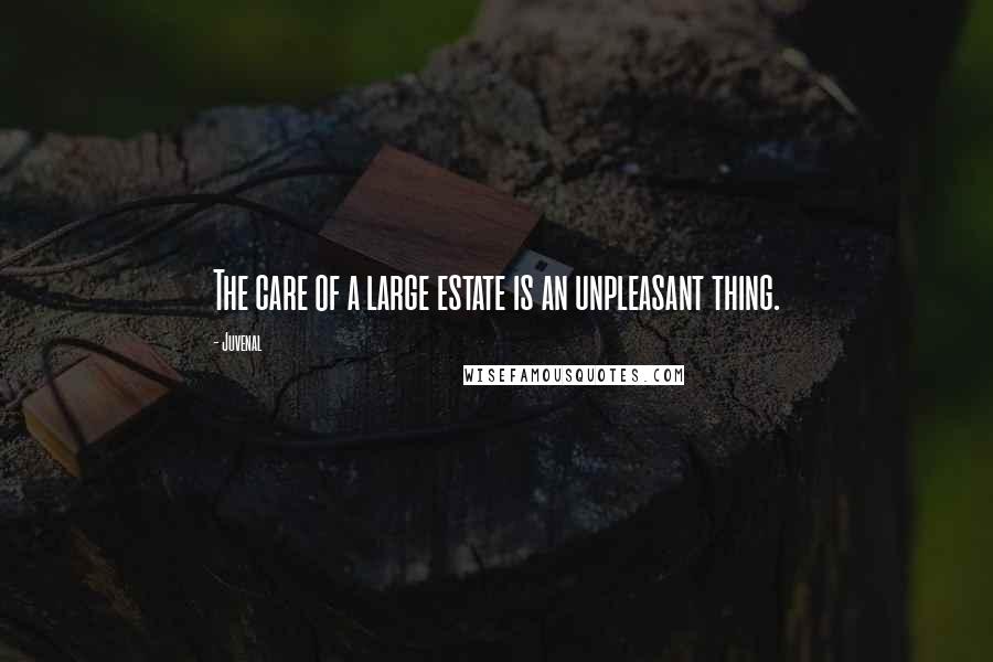 Juvenal Quotes: The care of a large estate is an unpleasant thing.
