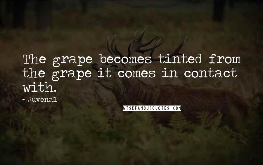 Juvenal Quotes: The grape becomes tinted from the grape it comes in contact with.