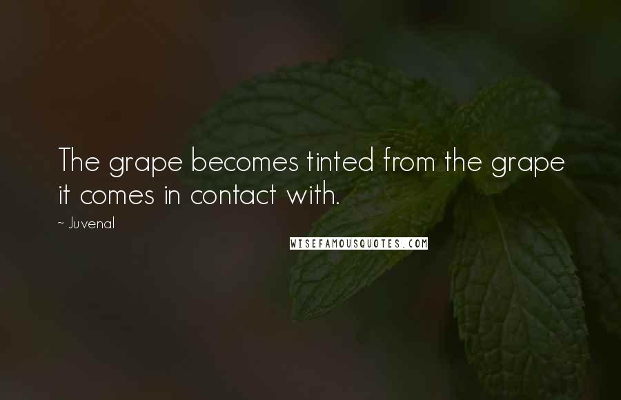 Juvenal Quotes: The grape becomes tinted from the grape it comes in contact with.