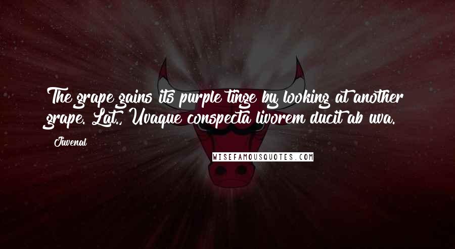 Juvenal Quotes: The grape gains its purple tinge by looking at another grape.[Lat., Uvaque conspecta livorem ducit ab uva.]