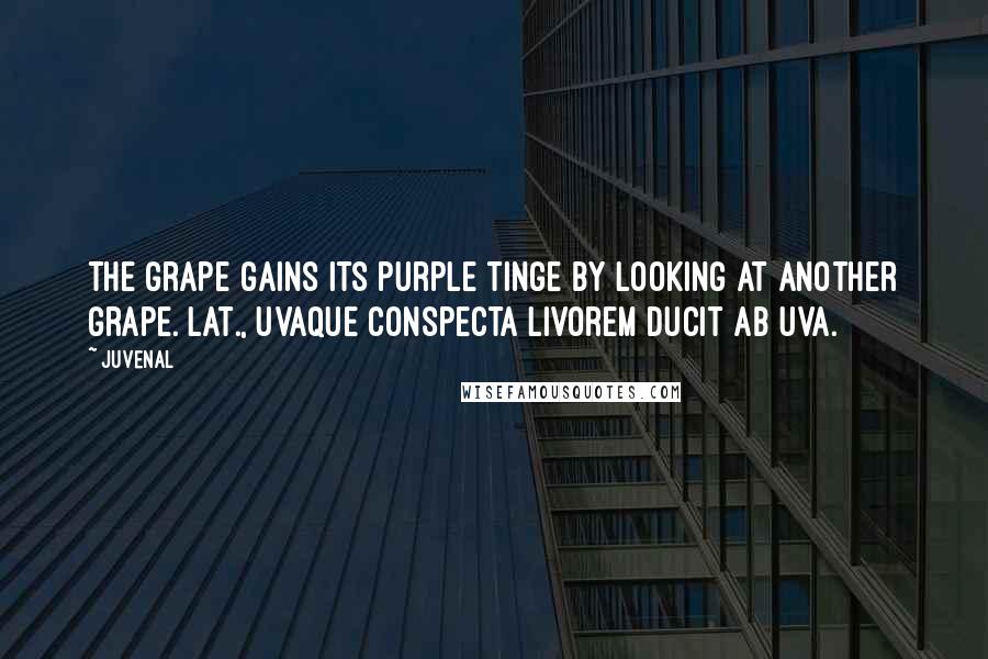 Juvenal Quotes: The grape gains its purple tinge by looking at another grape.[Lat., Uvaque conspecta livorem ducit ab uva.]