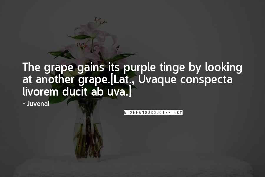 Juvenal Quotes: The grape gains its purple tinge by looking at another grape.[Lat., Uvaque conspecta livorem ducit ab uva.]
