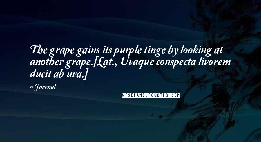 Juvenal Quotes: The grape gains its purple tinge by looking at another grape.[Lat., Uvaque conspecta livorem ducit ab uva.]