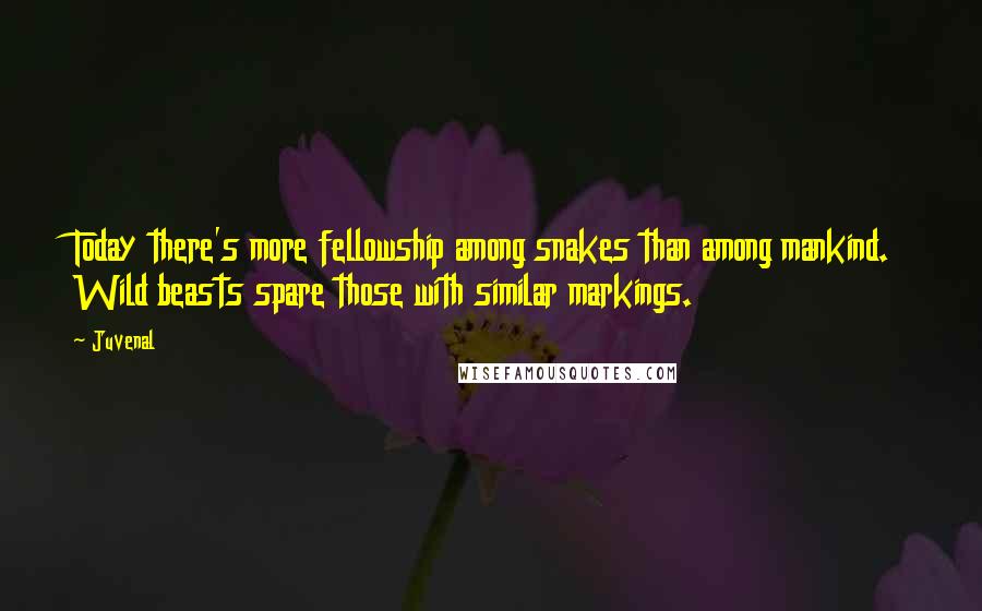 Juvenal Quotes: Today there's more fellowship among snakes than among mankind. Wild beasts spare those with similar markings.