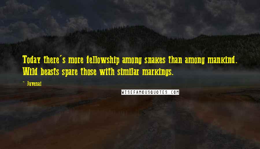 Juvenal Quotes: Today there's more fellowship among snakes than among mankind. Wild beasts spare those with similar markings.