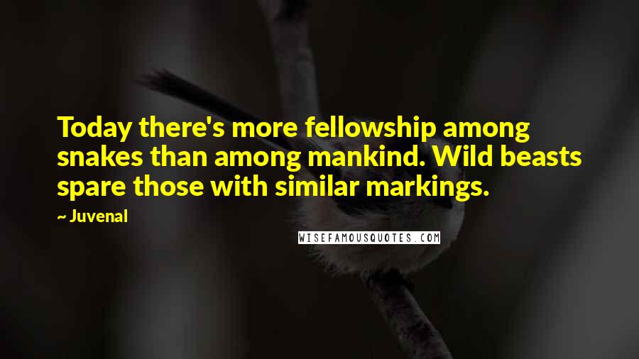 Juvenal Quotes: Today there's more fellowship among snakes than among mankind. Wild beasts spare those with similar markings.