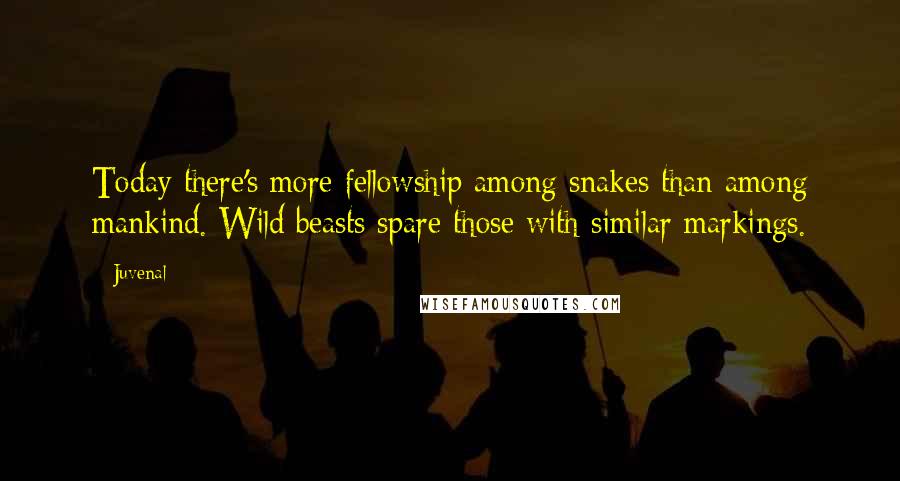 Juvenal Quotes: Today there's more fellowship among snakes than among mankind. Wild beasts spare those with similar markings.