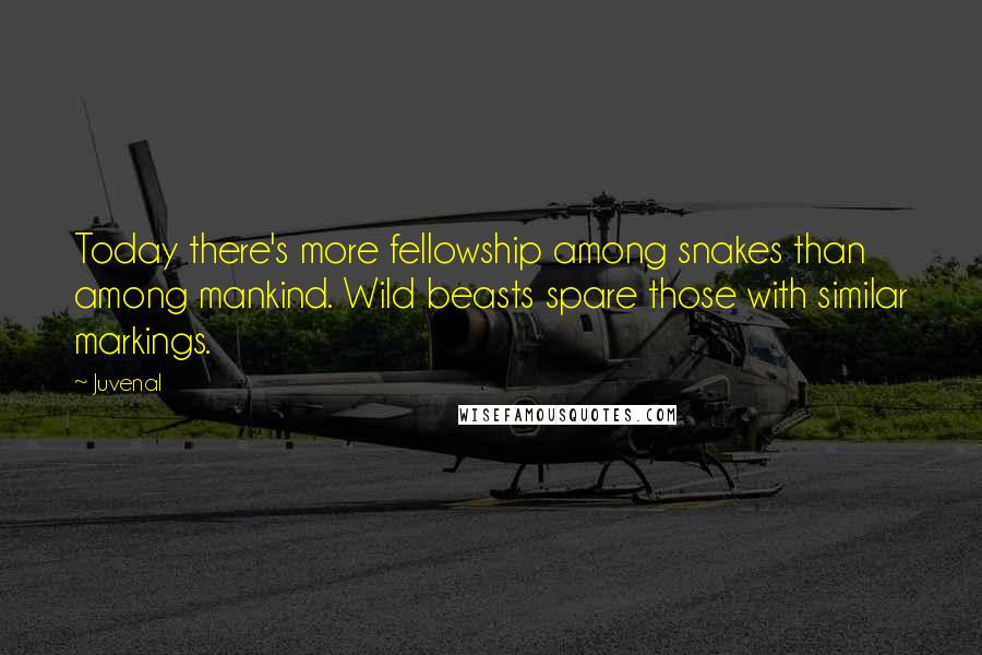 Juvenal Quotes: Today there's more fellowship among snakes than among mankind. Wild beasts spare those with similar markings.