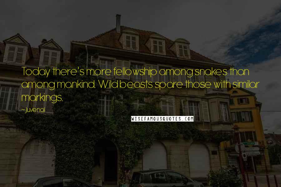 Juvenal Quotes: Today there's more fellowship among snakes than among mankind. Wild beasts spare those with similar markings.