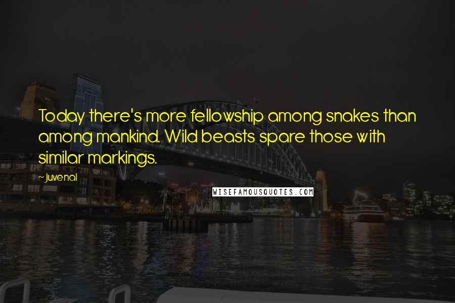 Juvenal Quotes: Today there's more fellowship among snakes than among mankind. Wild beasts spare those with similar markings.