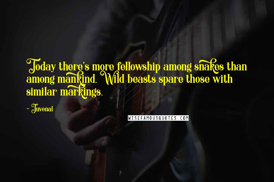 Juvenal Quotes: Today there's more fellowship among snakes than among mankind. Wild beasts spare those with similar markings.