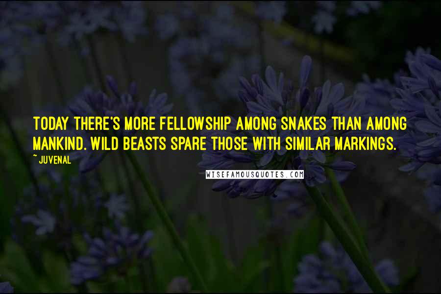 Juvenal Quotes: Today there's more fellowship among snakes than among mankind. Wild beasts spare those with similar markings.