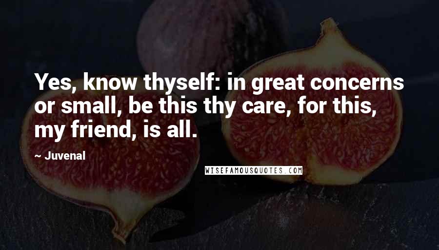 Juvenal Quotes: Yes, know thyself: in great concerns or small, be this thy care, for this, my friend, is all.