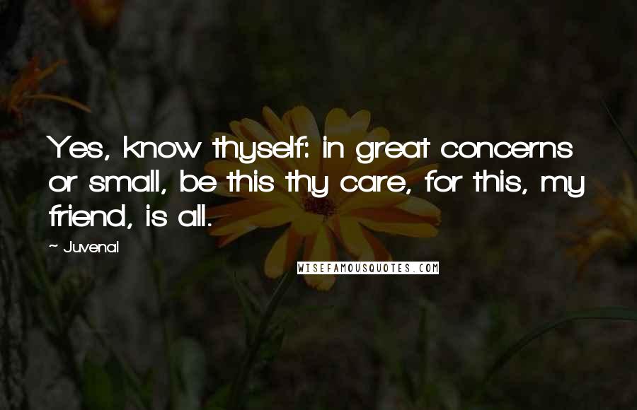 Juvenal Quotes: Yes, know thyself: in great concerns or small, be this thy care, for this, my friend, is all.