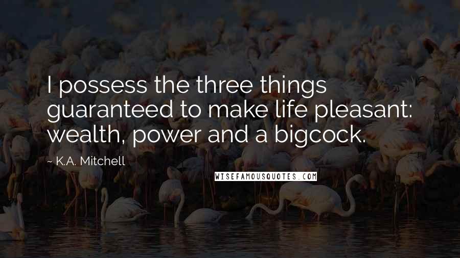 K.A. Mitchell Quotes: I possess the three things guaranteed to make life pleasant: wealth, power and a bigcock.