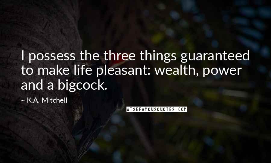 K.A. Mitchell Quotes: I possess the three things guaranteed to make life pleasant: wealth, power and a bigcock.