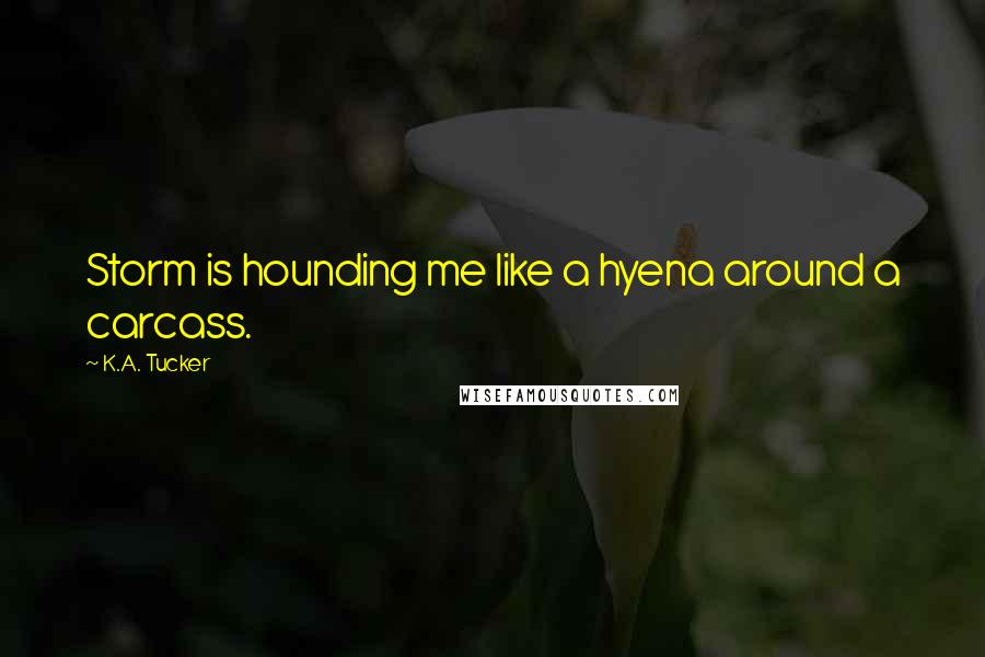 K.A. Tucker Quotes: Storm is hounding me like a hyena around a carcass.