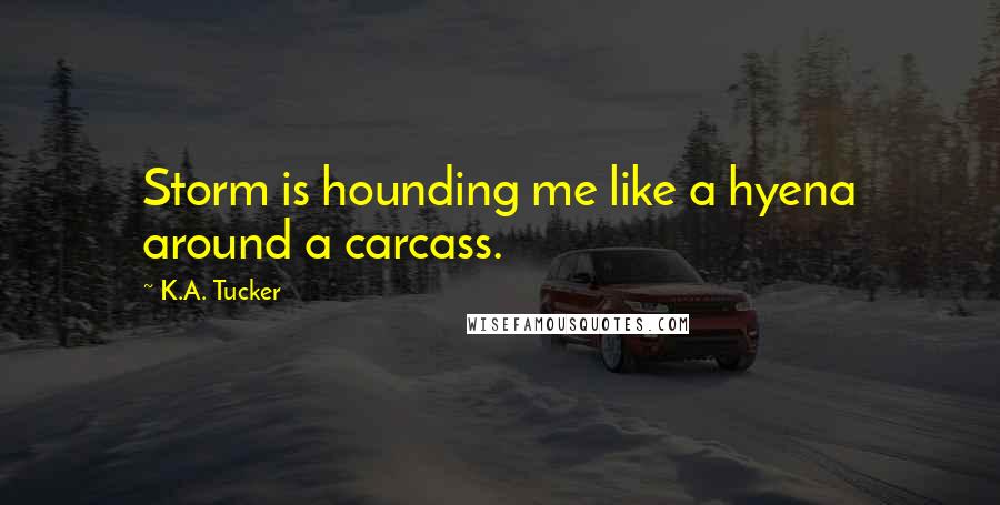 K.A. Tucker Quotes: Storm is hounding me like a hyena around a carcass.
