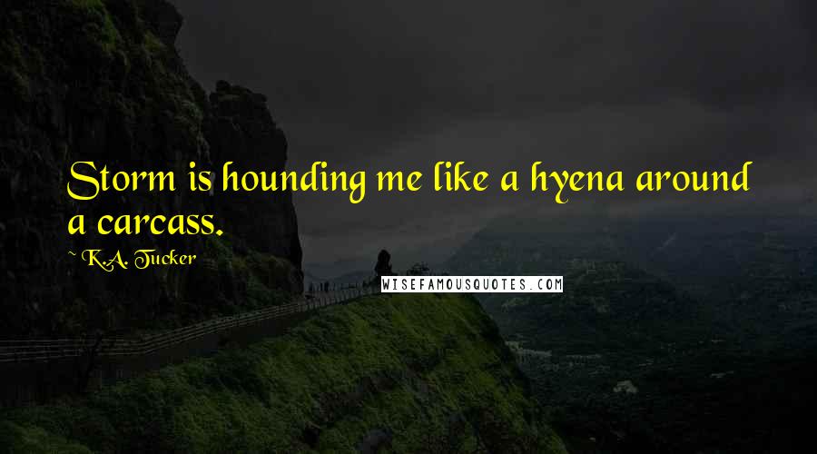 K.A. Tucker Quotes: Storm is hounding me like a hyena around a carcass.