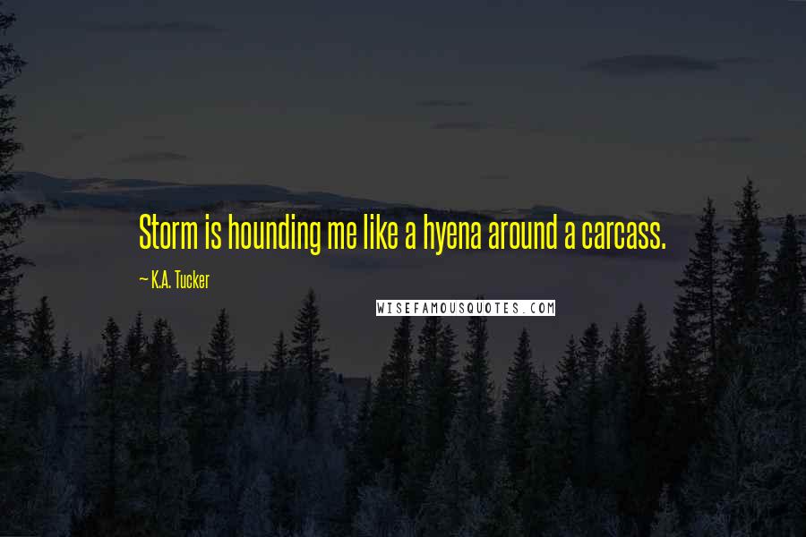 K.A. Tucker Quotes: Storm is hounding me like a hyena around a carcass.
