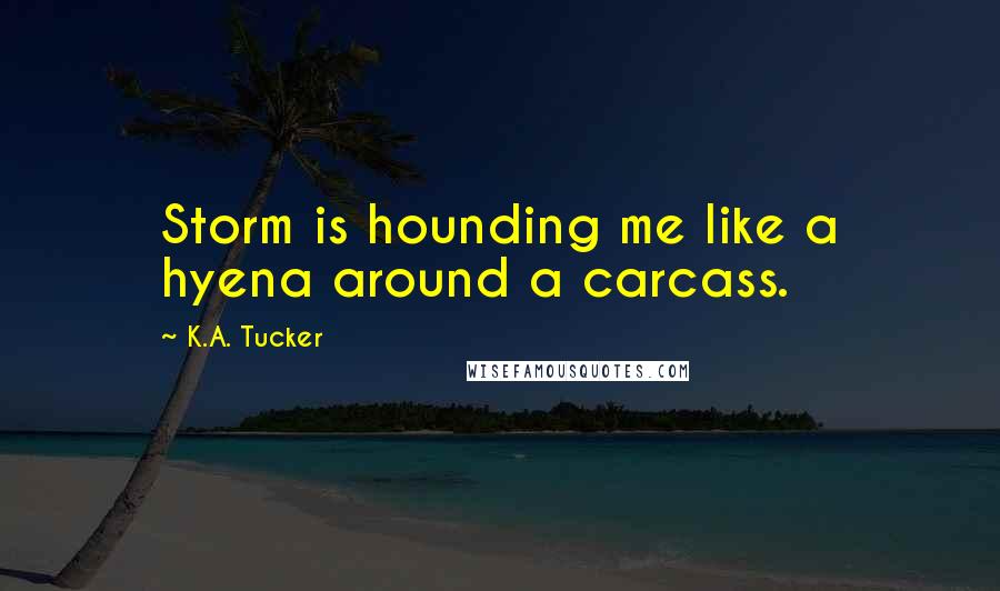 K.A. Tucker Quotes: Storm is hounding me like a hyena around a carcass.