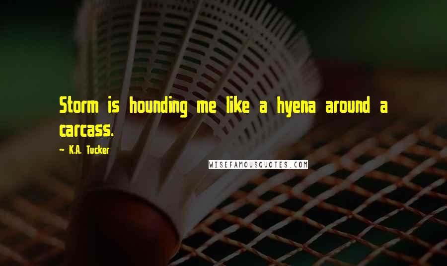 K.A. Tucker Quotes: Storm is hounding me like a hyena around a carcass.
