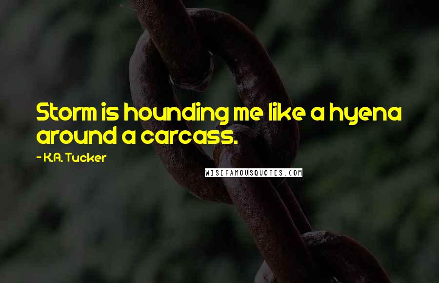 K.A. Tucker Quotes: Storm is hounding me like a hyena around a carcass.