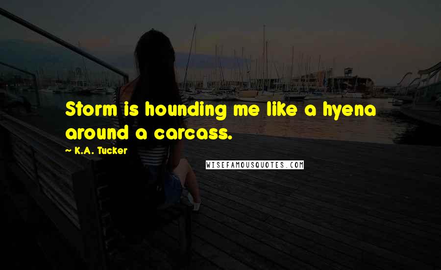 K.A. Tucker Quotes: Storm is hounding me like a hyena around a carcass.