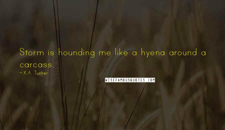 K.A. Tucker Quotes: Storm is hounding me like a hyena around a carcass.