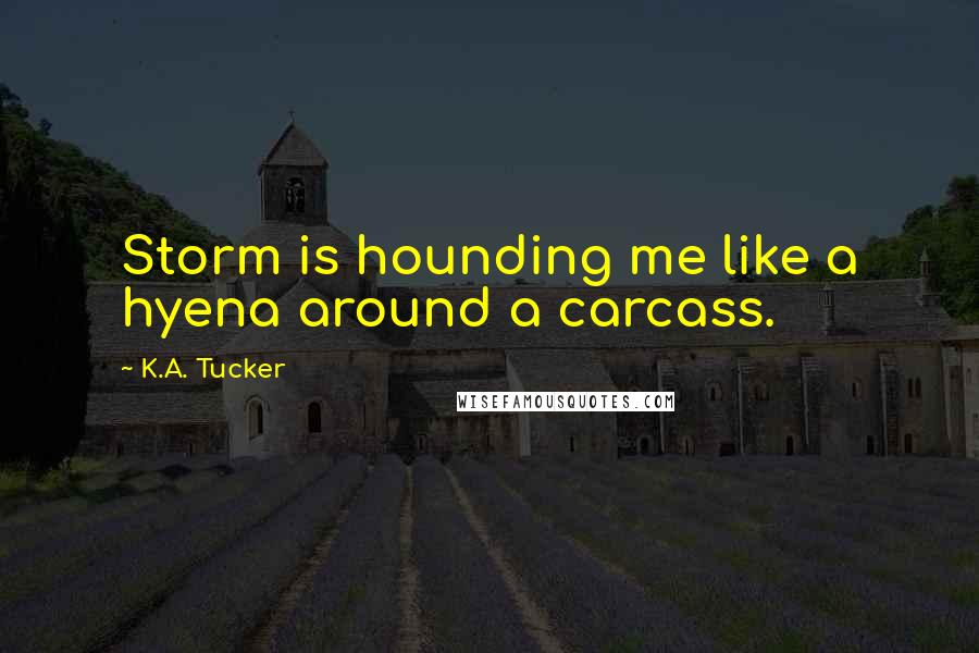 K.A. Tucker Quotes: Storm is hounding me like a hyena around a carcass.