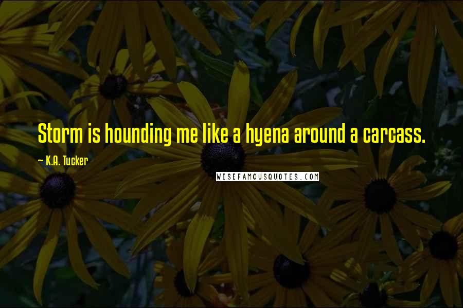 K.A. Tucker Quotes: Storm is hounding me like a hyena around a carcass.