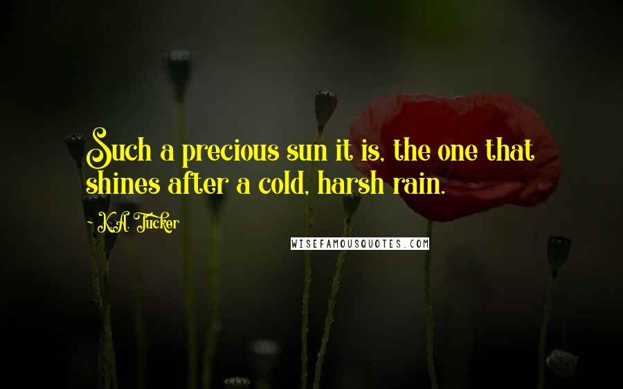 K.A. Tucker Quotes: Such a precious sun it is, the one that shines after a cold, harsh rain.