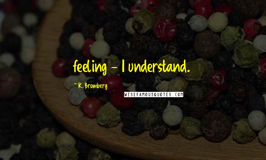 K. Bromberg Quotes: feeling - I understand.