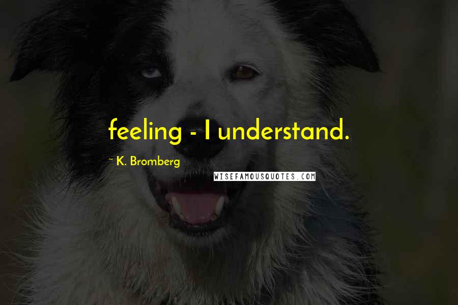 K. Bromberg Quotes: feeling - I understand.