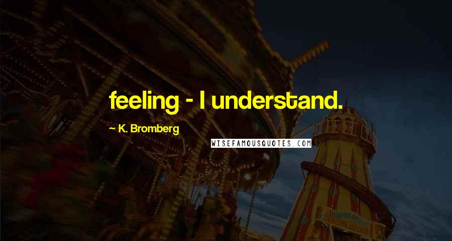 K. Bromberg Quotes: feeling - I understand.