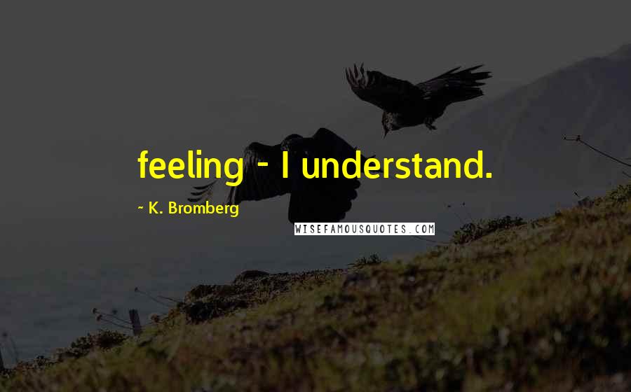 K. Bromberg Quotes: feeling - I understand.