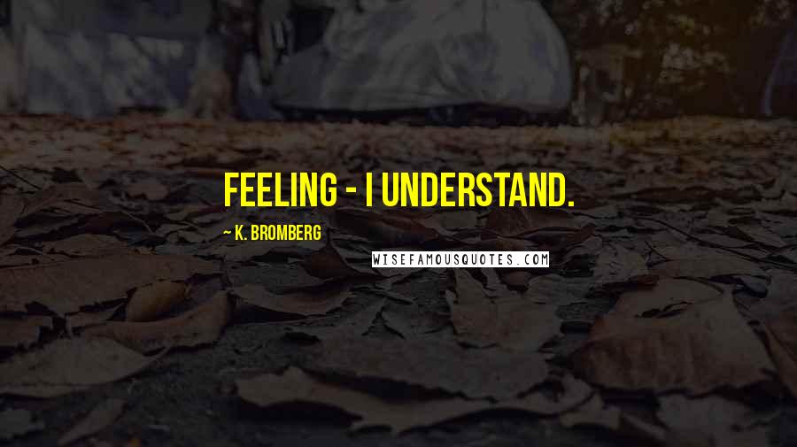 K. Bromberg Quotes: feeling - I understand.