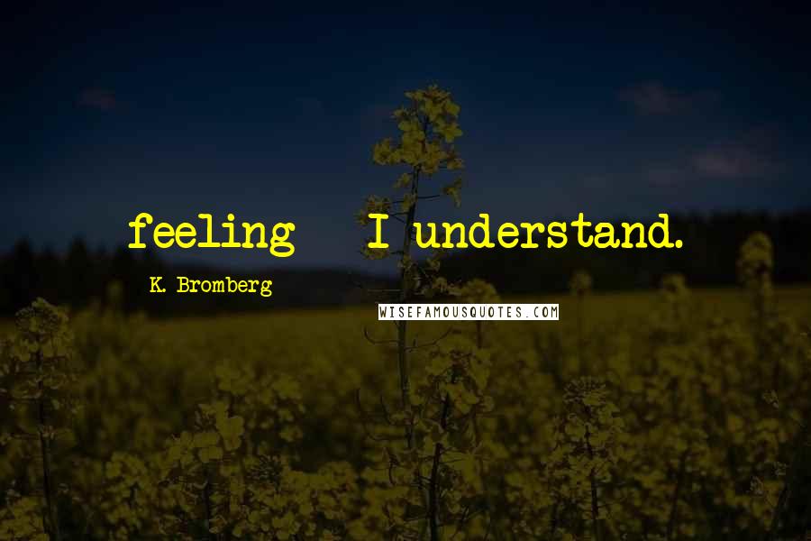 K. Bromberg Quotes: feeling - I understand.