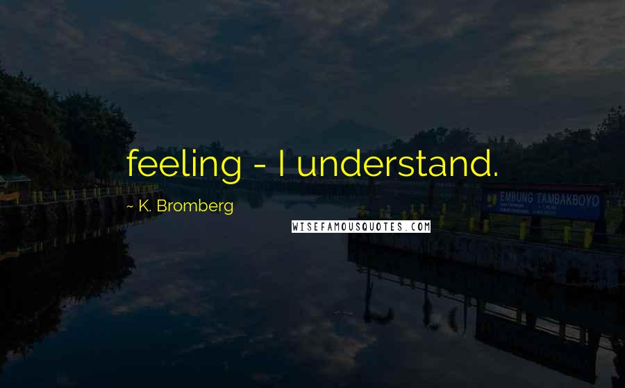 K. Bromberg Quotes: feeling - I understand.