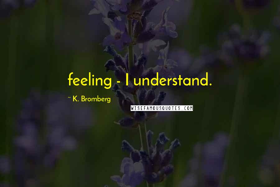 K. Bromberg Quotes: feeling - I understand.