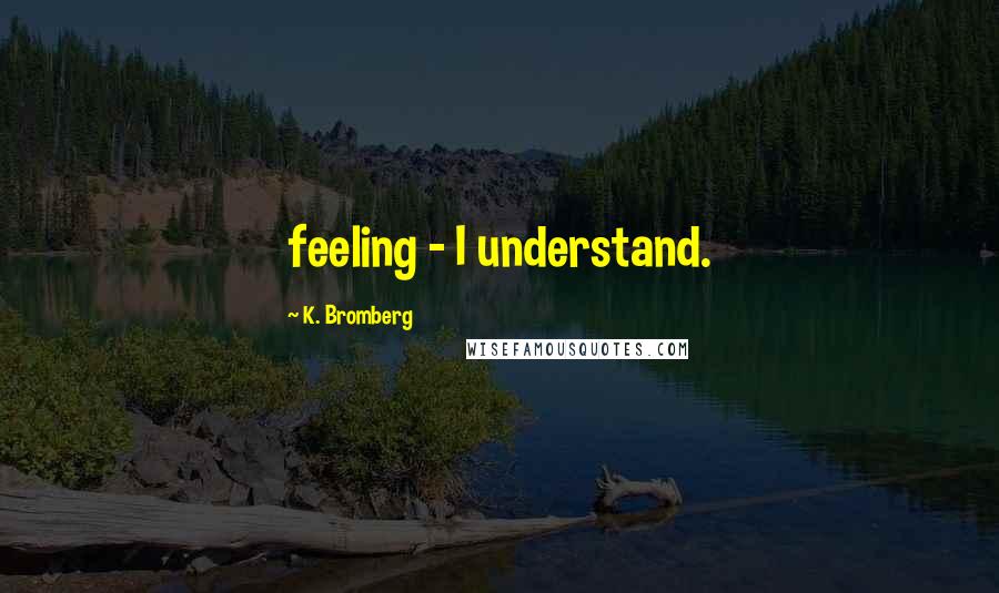 K. Bromberg Quotes: feeling - I understand.