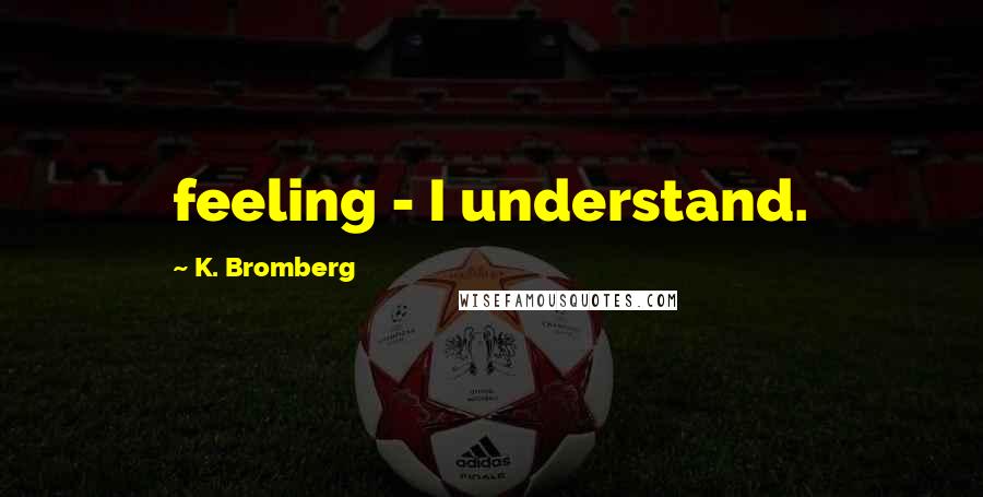 K. Bromberg Quotes: feeling - I understand.