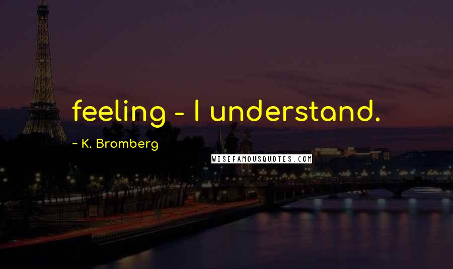 K. Bromberg Quotes: feeling - I understand.