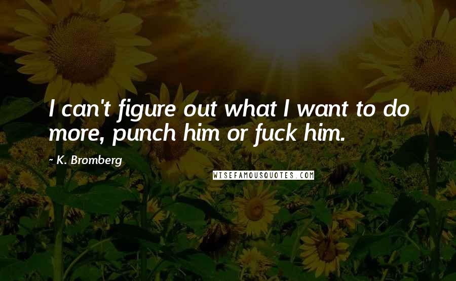 K. Bromberg Quotes: I can't figure out what I want to do more, punch him or fuck him.