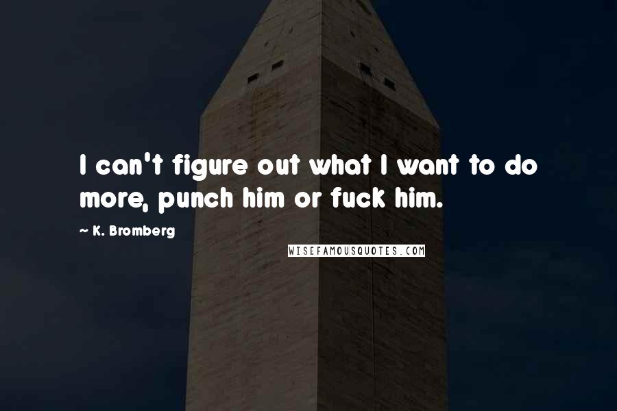 K. Bromberg Quotes: I can't figure out what I want to do more, punch him or fuck him.