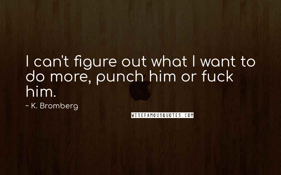 K. Bromberg Quotes: I can't figure out what I want to do more, punch him or fuck him.