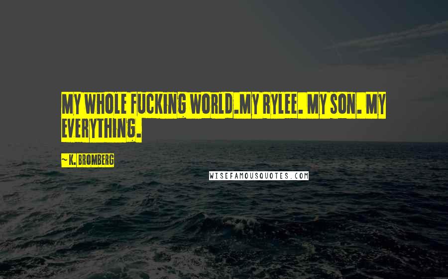 K. Bromberg Quotes: My whole fucking world.My Rylee. My son. My everything.