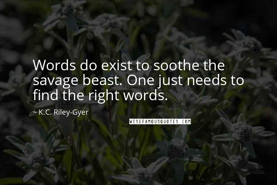 K.C. Riley-Gyer Quotes: Words do exist to soothe the savage beast. One just needs to find the right words.